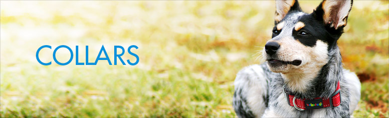 Category Banner