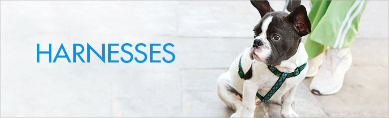 Category Banner