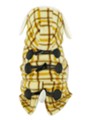 Kakadu Pet Estate Checkered Fleece Jacket View 1