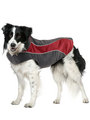 Kakadu Pet Explorer Double Fleece View 1