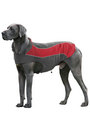 Kakadu Pet Explorer Double Fleece View 3