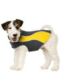 Kakadu Pet Explorer Double Fleece