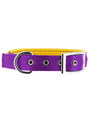 Kakadu Pet Orbit Two Toned Padded Collar