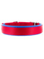 Kakadu Pet Orbit Two Toned Padded Collar View 1