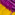 Purple with Yellow Trim