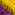 Yellow with Purple Trim