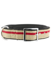 Kakadu Pet Angus Padded Collar