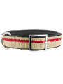 Kakadu Pet Angus Padded Collar