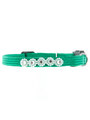 Kakadu Pet Daisy Chain Nylon Collar