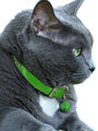 Kakadu Pet Hollywood Collar with Diamonds View 2