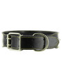 Kakadu Pet Boxer Studded Leather Collar View 1