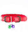 Kakadu Pet Wilshire Studded Collar