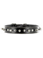 Kakadu Pet Spike Studded Leather Collar