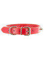 Kakadu Pet Spike Studded Leather Collar View 1