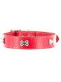 Kakadu Pet Give a Dog a Bone Leather Collar