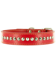 Kakadu Pet Buster Studded Leather Collar