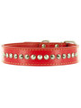 Kakadu Pet Buster Studded Leather Collar