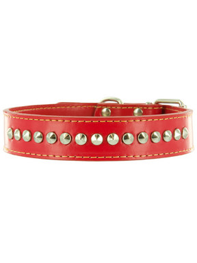 Kakadu Pet Buster Studded Leather Collar