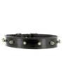 Kakadu Pet Studly Studded Leather Collar