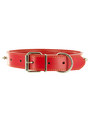 Kakadu Pet Studly Studded Leather Collar View 1
