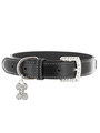 Kakadu Pet 5th Avenue Collar
