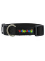 Kakadu Pet Empire Collar