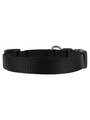 Kakadu Pet Empire Collar View 1